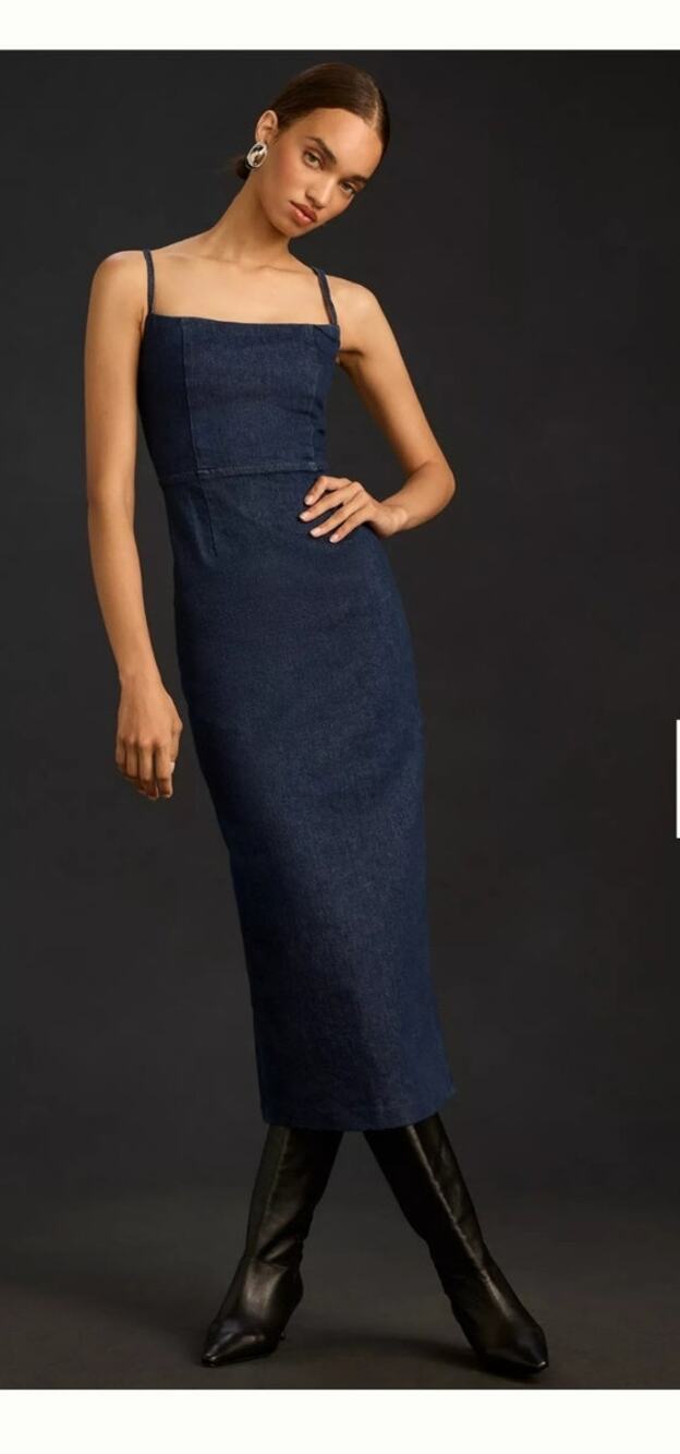 Reformation Delphinia Denim Midi Dress SZ 4 Dark Wash Minimalist Casual Chic